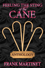 Feeling the Sting of the Cane Anthology