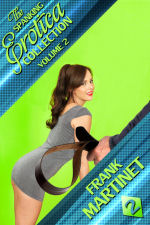 The Spanking Erotica Collection - Volume 2