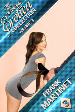 The Spanking Erotica Collection - Volume 3